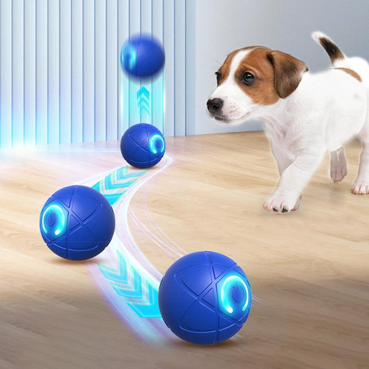 Entretén a tu Perro - Pelota Interactiva™